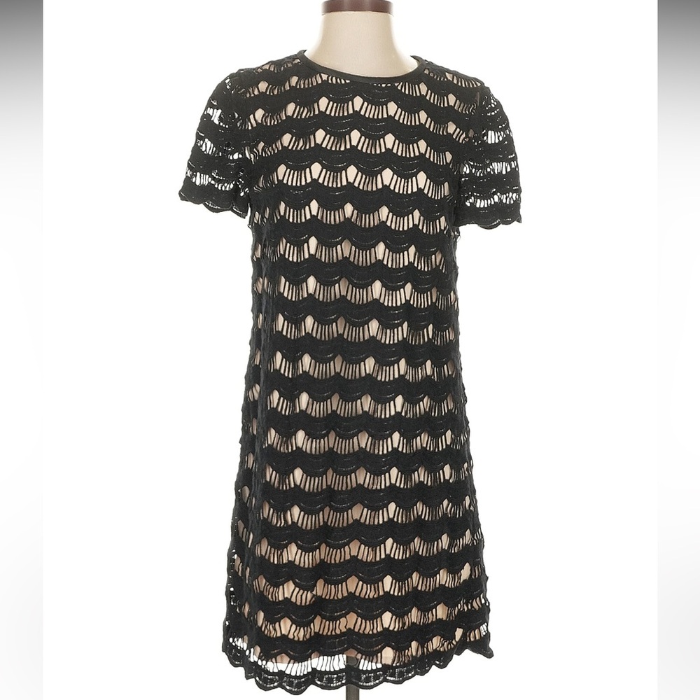 kate spade virginia scalloped lace dress